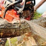 How to Cut Firewood with a Chainsaw