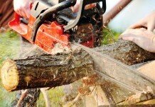 How to Cut Firewood with a Chainsaw