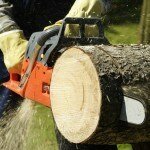Best Chain Saw Reviews & Buying Guide 2016